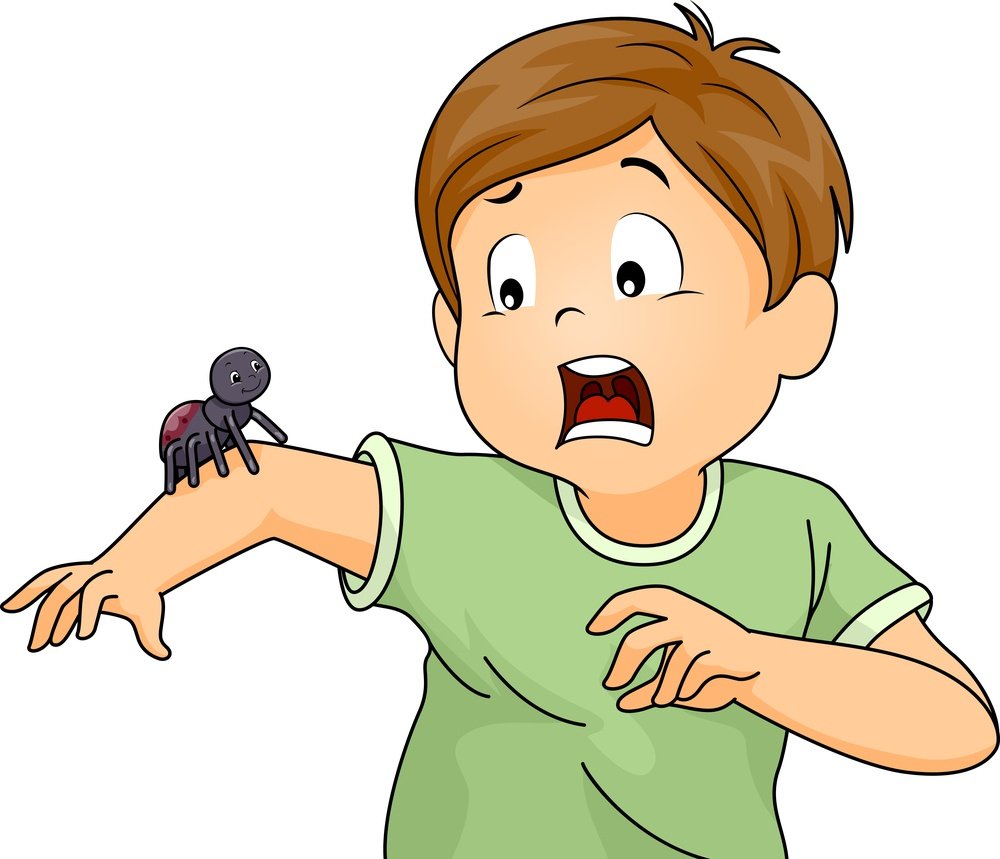 child-terrified-spider.jpg